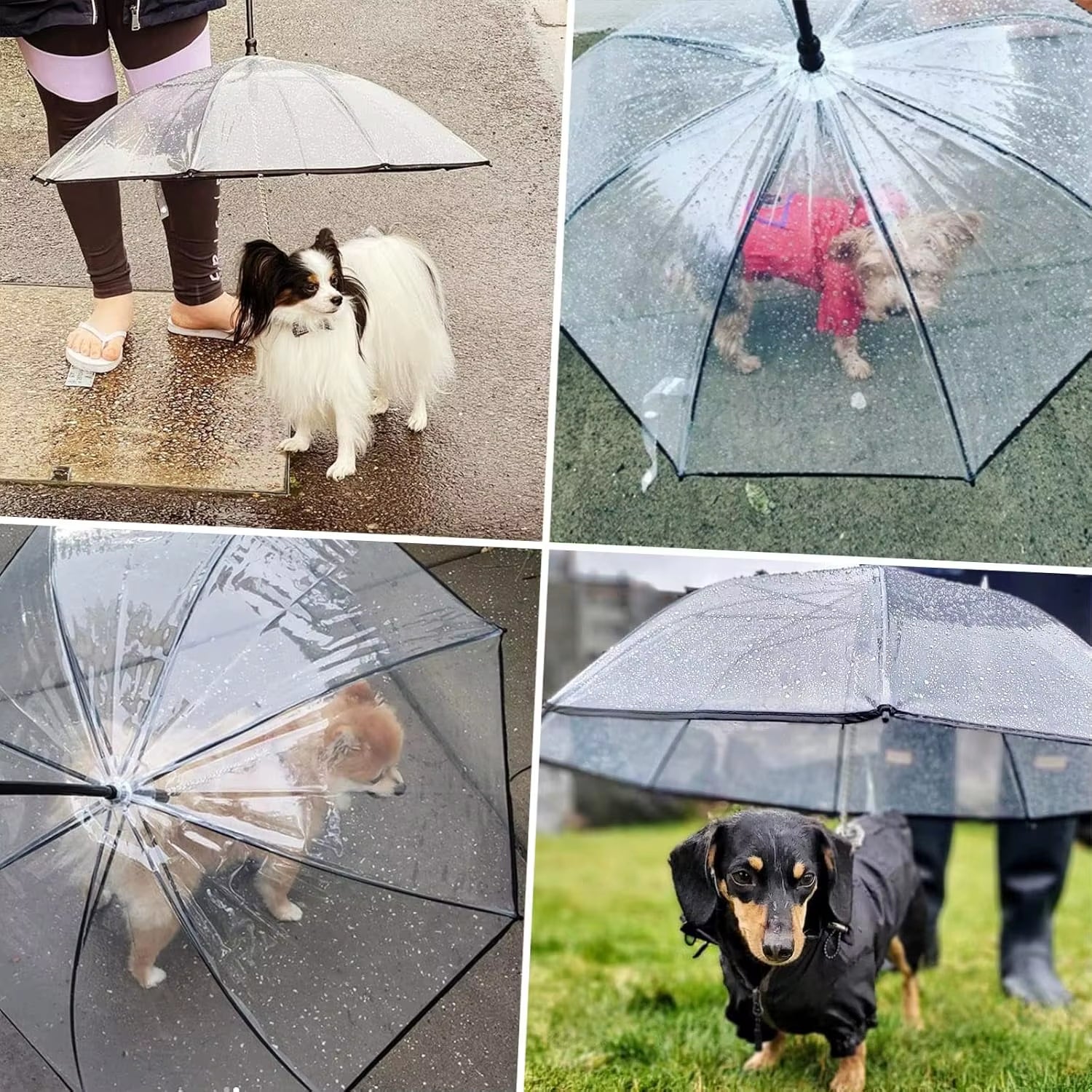 Multi Functional Pet Leash Transparent Dog Umbrella Detachable Rainy Day Dog Walking Umbrella Leash Small Pet Leash