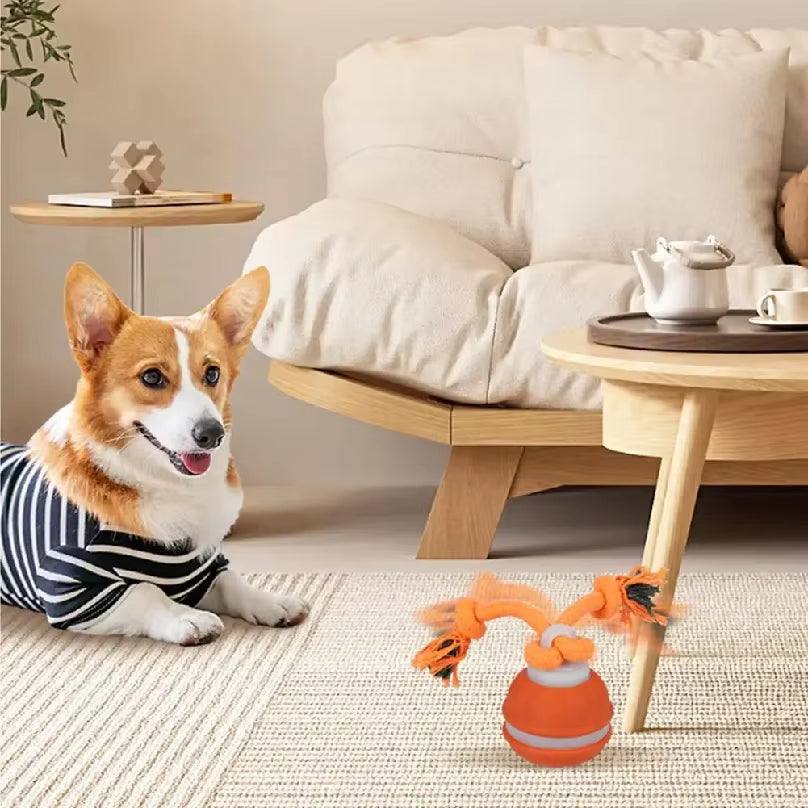 Interactive Dog Toy Ball with Rope Electronic Motion Activated Rolling Ball for Indoor Cat Dog Play Toys for Puppy Training Ball