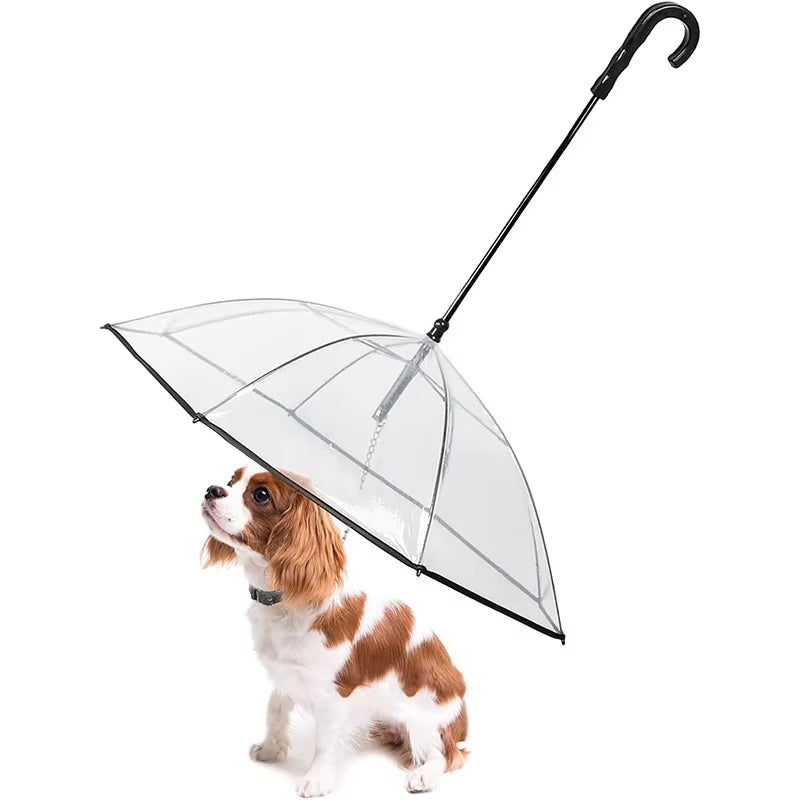 Multi Functional Pet Leash Transparent Dog Umbrella Detachable Rainy Day Dog Walking Umbrella Leash Small Pet Leash