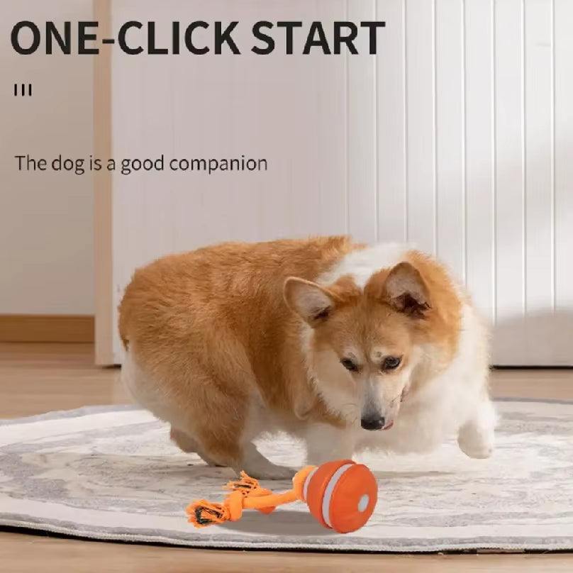 Interactive Dog Toy Ball with Rope Electronic Motion Activated Rolling Ball for Indoor Cat Dog Play Toys for Puppy Training Ball